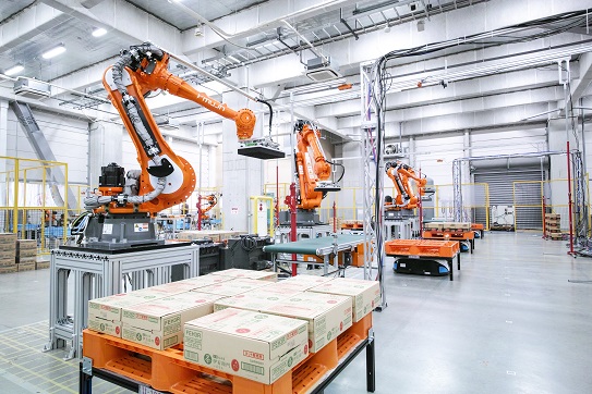 Mujin provides robotic palletizing and depalletizing for both single and mixed SKU orders, precise picking to streamline ecommerce order fulfillment, metal bin picking for parts in the automotive segment, unlocked truck trailer and container unloading, as well as quick deployment of robot cells.