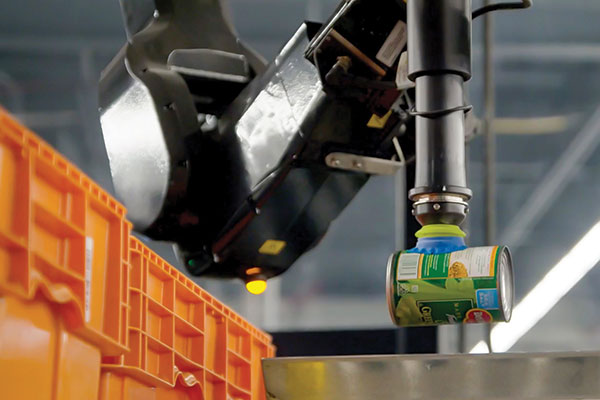 Piece picking robots offer faster, more accurate picking with much reduced labor requirements.